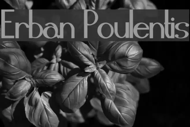Erban Poulentis Font examples