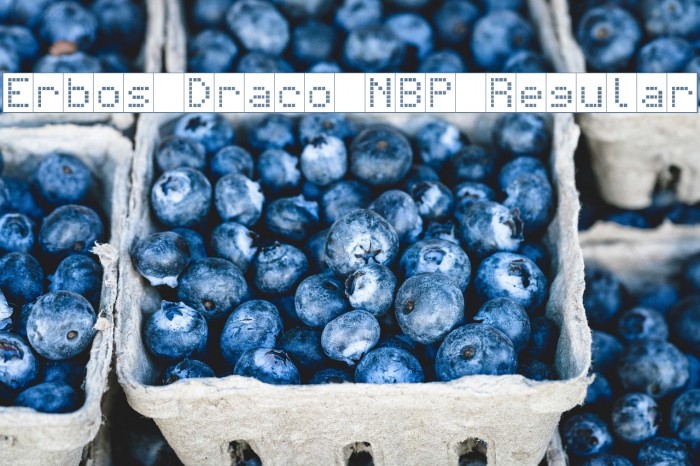 Erbos Draco NBP Regular Font examples