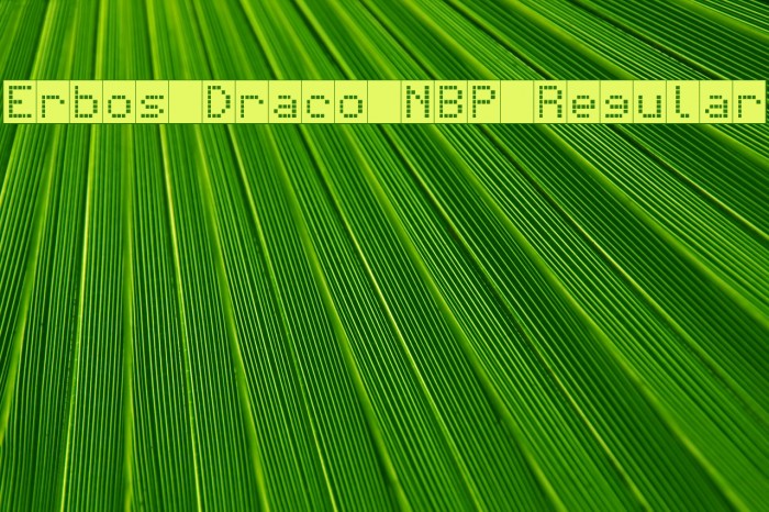 Erbos Draco NBP Regular Font examples
