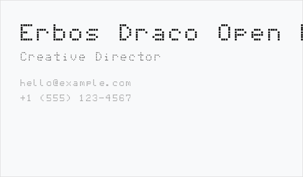 Erbos Draco Open NBP Regular Business Card