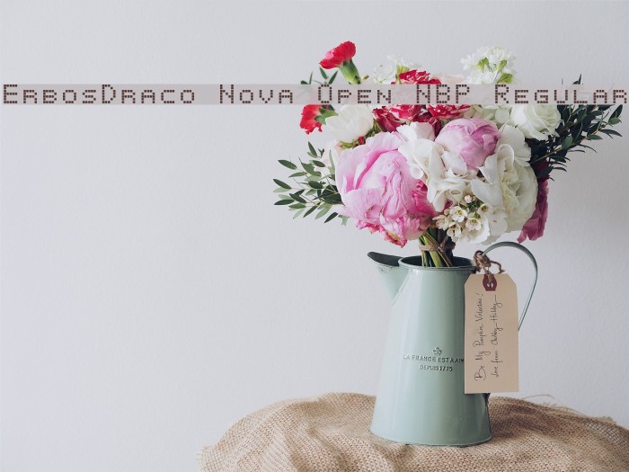 ErbosDraco Nova Open NBP Regular Font examples