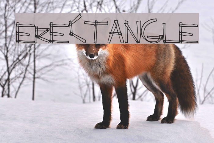 ErectAngle Font examples