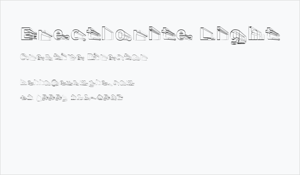 Erectlorite Light Business Card