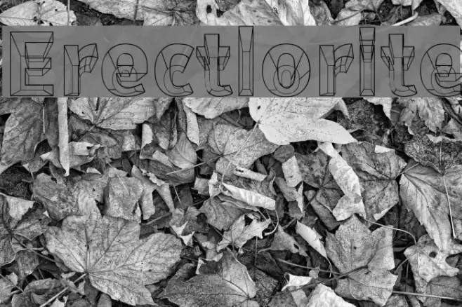 Erectlorite Example 1
