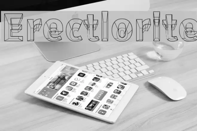 Erectlorite Example 2