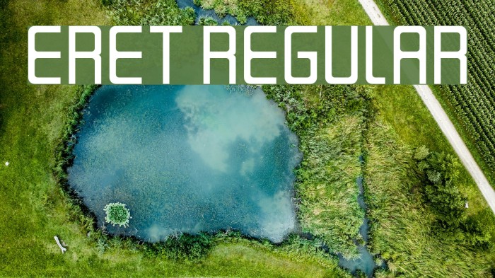 Eret Regular Example 1