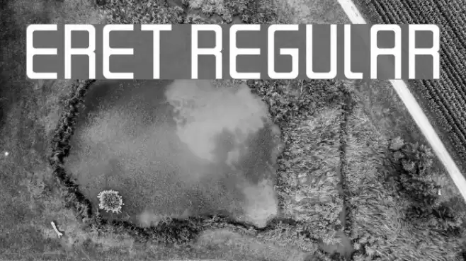 Eret Regular Font examples