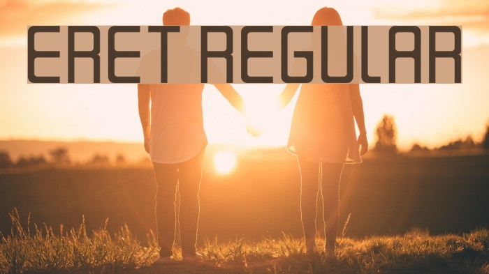 Eret Regular Example 2