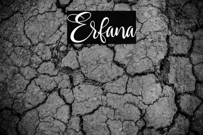 Erfana Example 1