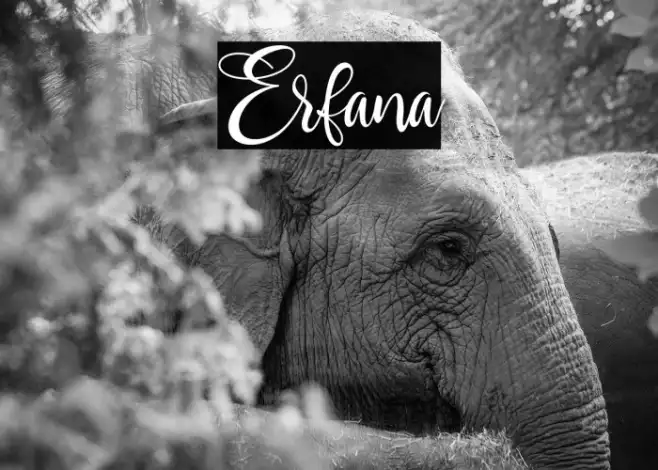 Erfana Example 2
