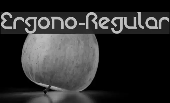 Ergono-Regular Font examples