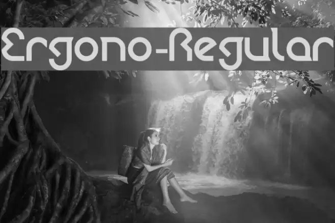 Ergono-Regular Font examples