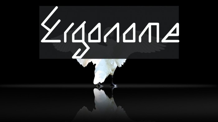 Ergonome Font examples