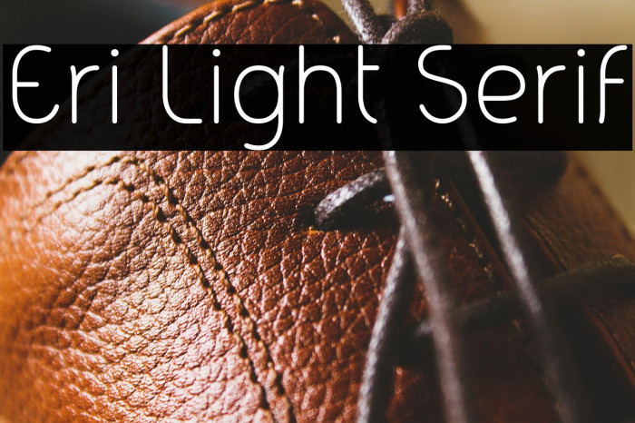 Eri Light Serif Example 2