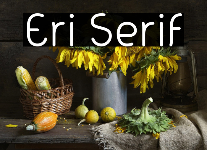 Eri Serif Example 3