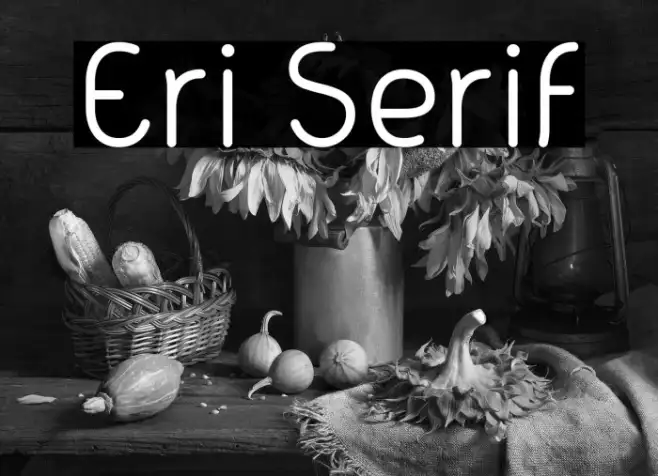 Eri Serif Example 3