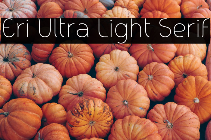Eri Ultra Light Serif Example 1