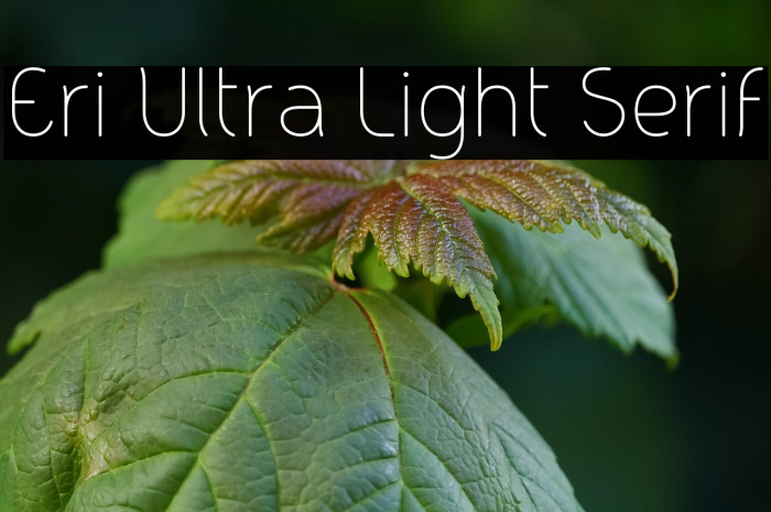 Eri Ultra Light Serif Example 2
