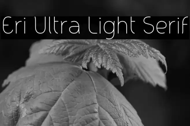 Eri Ultra Light Serif Font examples