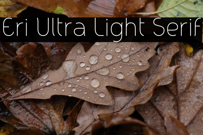 Eri Ultra Light Serif Example 3