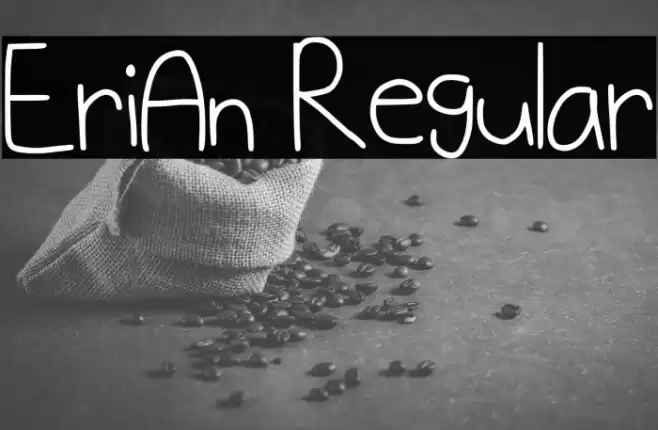 EriAn Regular Font examples