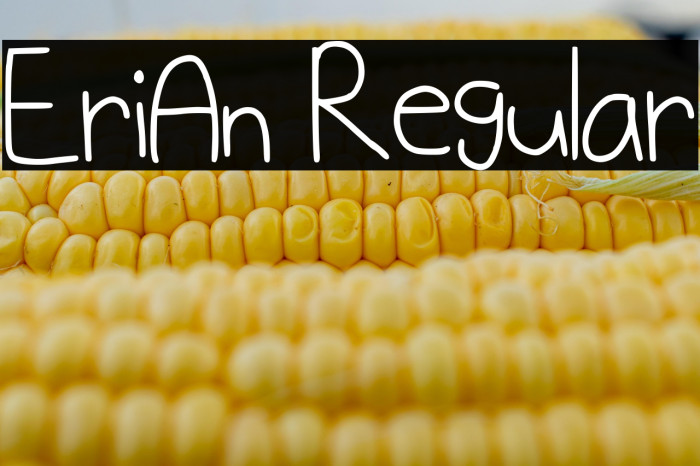 EriAn Regular Example 2