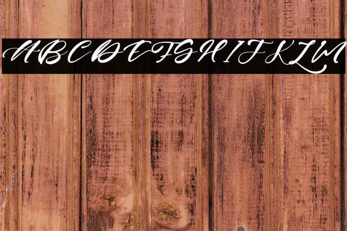 Erica Gavin Example 2