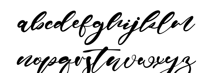 Erica Gavin Font LOWERCASE