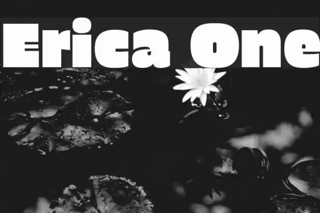 Erica One Font examples
