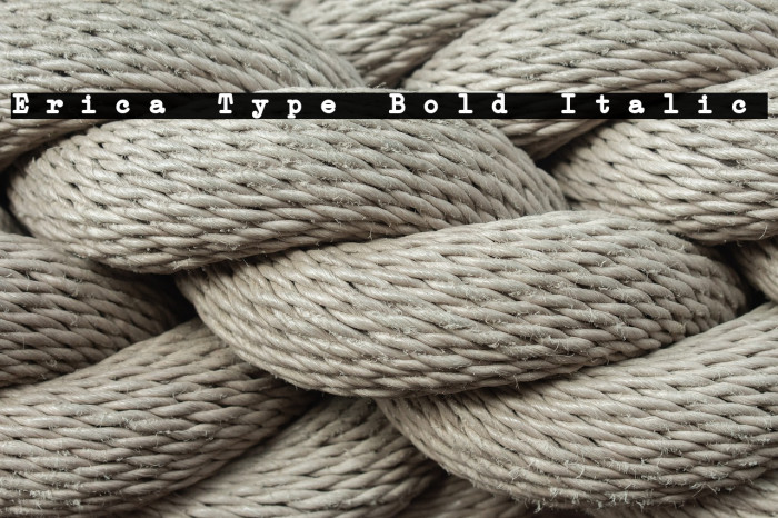 Erica Type Bold Italic Font examples