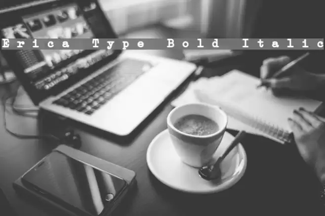 Erica Type Bold Italic Font examples
