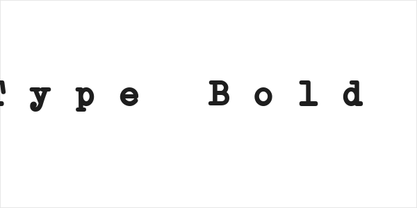 Erica Type Bold Italic Logo