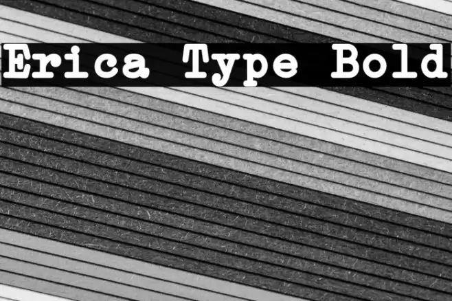 Erica Type Bold Font examples