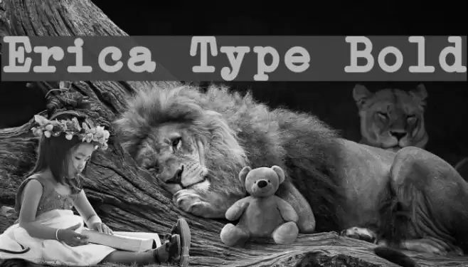 Erica Type Bold Font examples