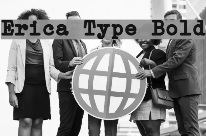Erica Type Bold Font examples