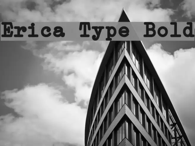 Erica Type Bold Font examples