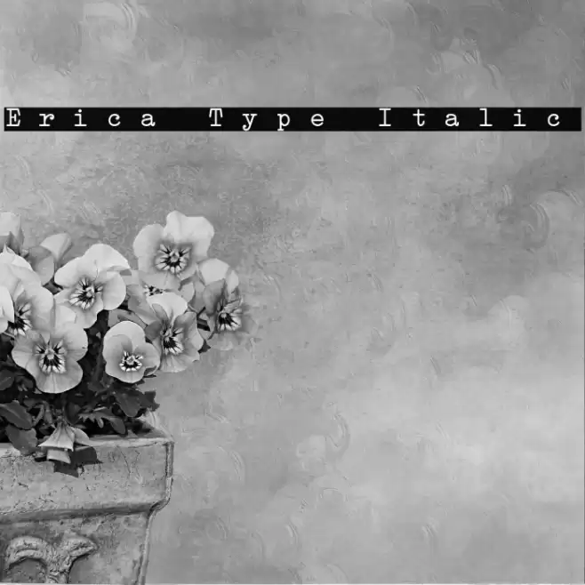 Erica Type Italic Font examples