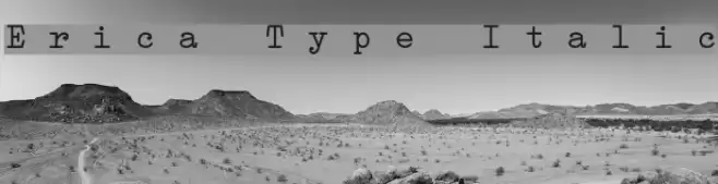 Erica Type Italic  examples
