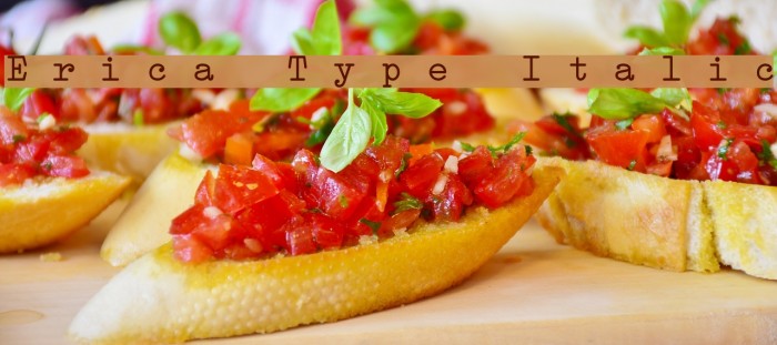 Erica Type Italic Font examples