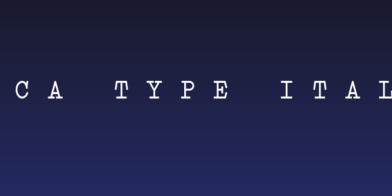 Erica Type Italic Social Header