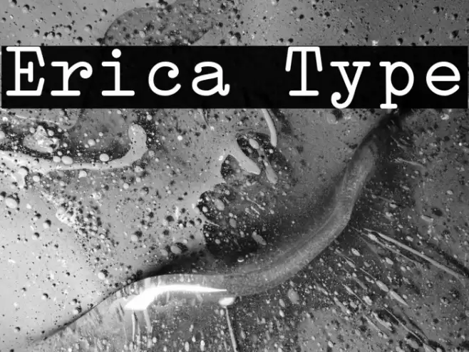 Erica Type Font examples