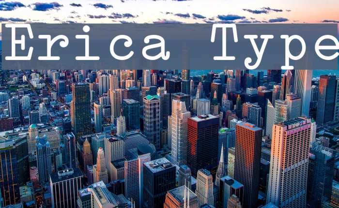 Erica Type Font examples
