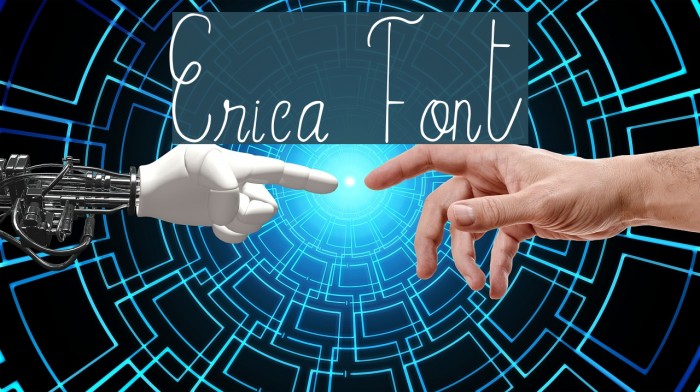 Erica Font examples