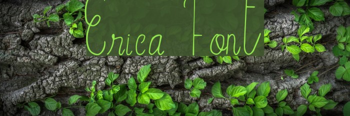Erica Font examples