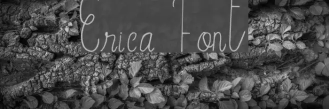 Erica Example 2