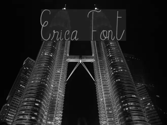 Erica Example 3