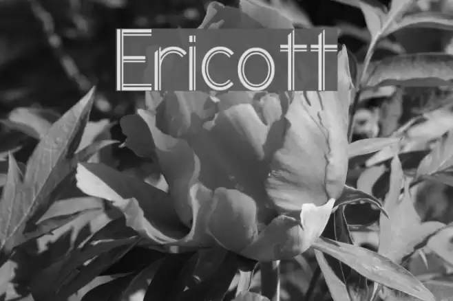 Ericott Font examples