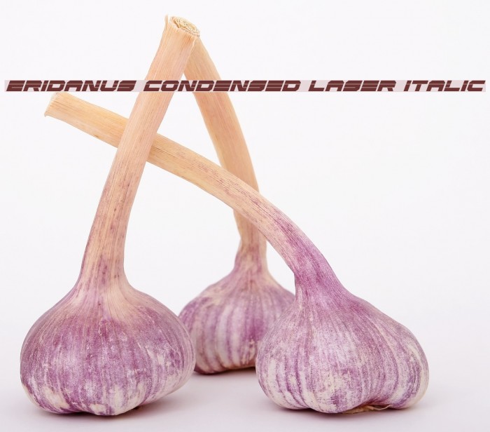 Eridanus Condensed Laser Italic Example 2