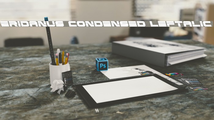 Eridanus Condensed Leftalic Font examples