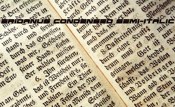 Eridanus Condensed Semi-Italic Font examples